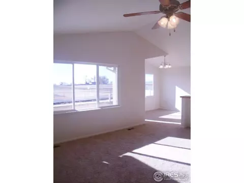 377 Mt Bross Ave, Windsor, CO 80550 photo 8