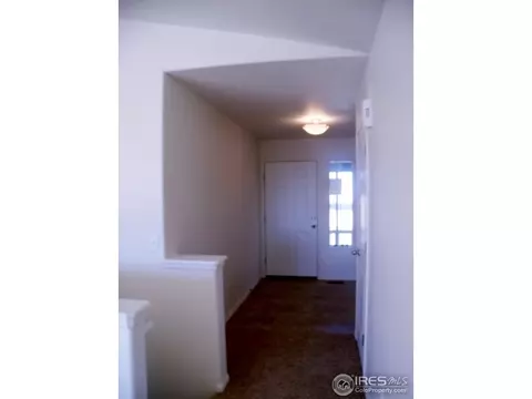 377 Mt Bross Ave, Windsor, CO 80550 photo 3