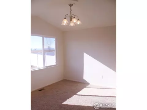 377 Mt Bross Ave, Windsor, CO 80550 photo 13