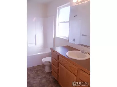 377 Mt Bross Ave, Windsor, CO 80550 photo 15