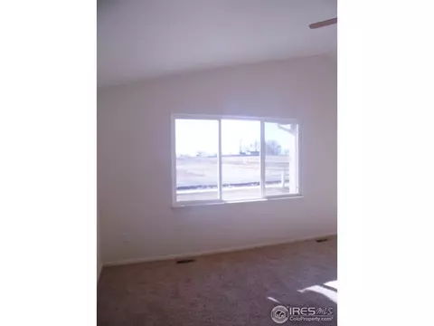 377 Mt Bross Ave, Windsor, CO 80550 photo 10