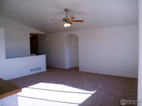 377 Mt Bross Ave, Windsor, CO 80550 photo 9