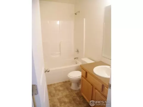 377 Mt Bross Ave, Windsor, CO 80550 photo 16