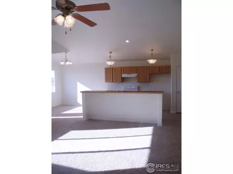 377 Mt Bross Ave, Windsor, CO 80550 photo 6