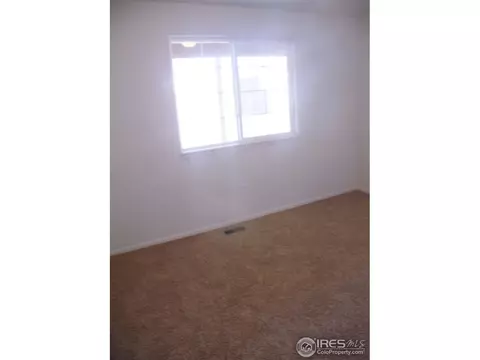 377 Mt Bross Ave, Windsor, CO 80550 photo 12