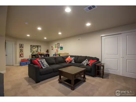 6977 Fireside Dr, Timnath, CO 80547 photo 29