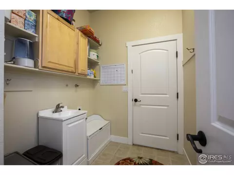 6977 Fireside Dr, Timnath, CO 80547 photo 18