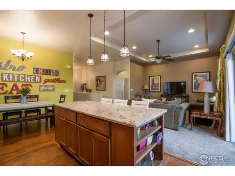6977 Fireside Dr, Timnath, CO 80547 photo 14
