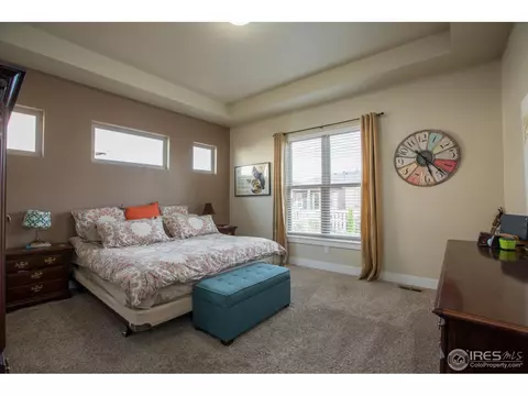 6977 Fireside Dr, Timnath, CO 80547 photo 19