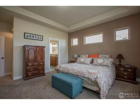 6977 Fireside Dr, Timnath, CO 80547 photo 20