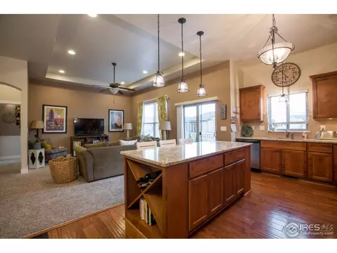 6977 Fireside Dr, Timnath, CO 80547 photo 13