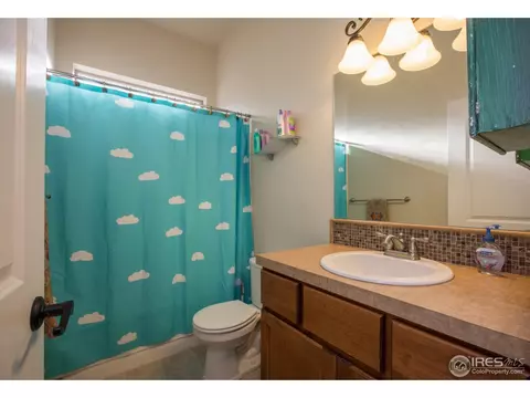 6977 Fireside Dr, Timnath, CO 80547 photo 25