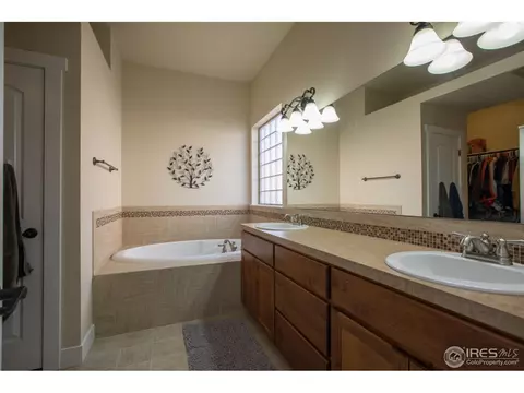 6977 Fireside Dr, Timnath, CO 80547 photo 22