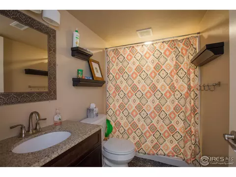 6977 Fireside Dr, Timnath, CO 80547 photo 28