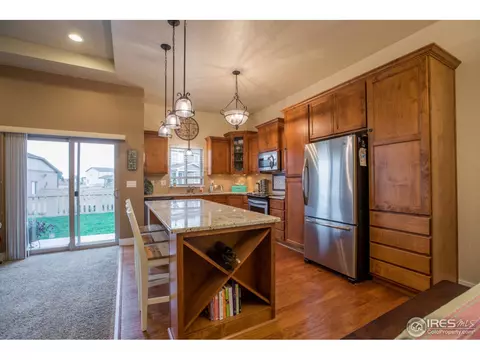 6977 Fireside Dr, Timnath, CO 80547 photo 11