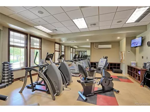 8833 E 155th Ct, Thornton, CO 80602 photo 33