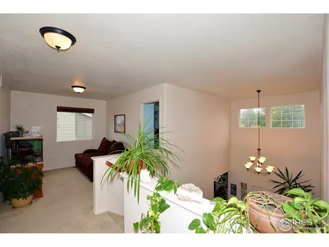 7495 Hickory Cir, Frederick, CO 80504 photo 30