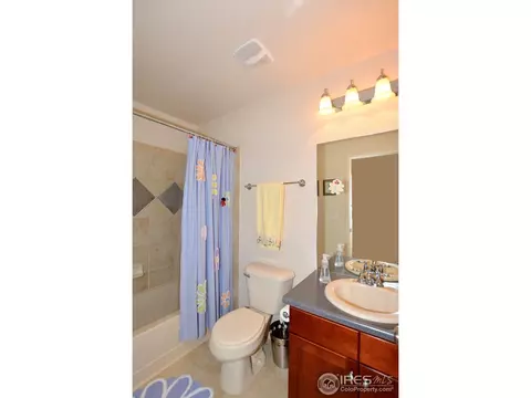 7495 Hickory Cir, Frederick, CO 80504 photo 31