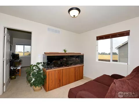 7495 Hickory Cir, Frederick, CO 80504 photo 22