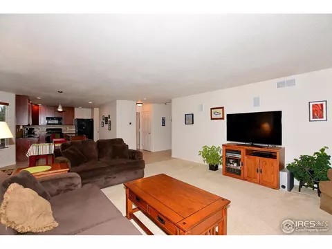 7495 Hickory Cir, Frederick, CO 80504 photo 10