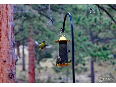 209 Choctaw Rd, Lyons, CO 80540 photo 8