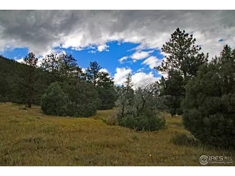 209 Choctaw Rd, Lyons, CO 80540 photo 9