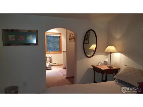 209 Choctaw Rd, Lyons, CO 80540 photo 23