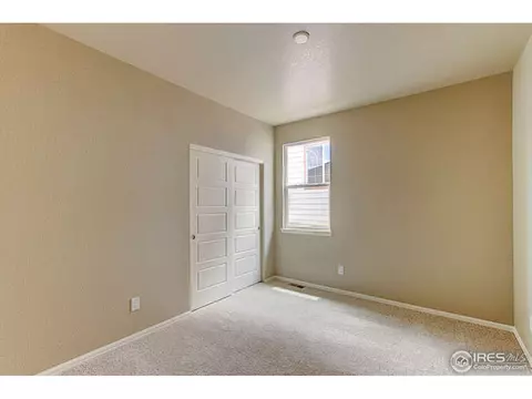 2167 Longfin Dr, Windsor, CO 80550 photo 24
