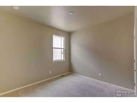 2167 Longfin Dr, Windsor, CO 80550 photo 23