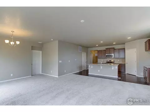 2167 Longfin Dr, Windsor, CO 80550 photo 3