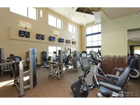 2167 Longfin Dr, Windsor, CO 80550 photo 30