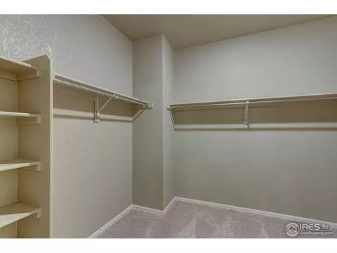 2167 Longfin Dr, Windsor, CO 80550 photo 19