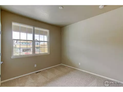 2167 Longfin Dr, Windsor, CO 80550 photo 20