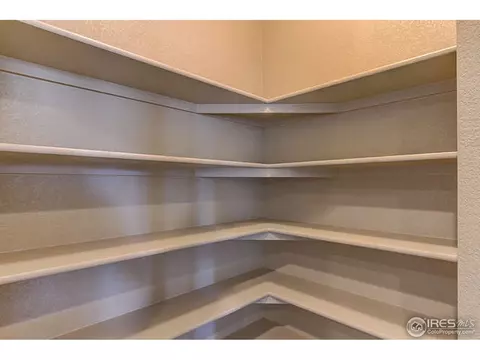 2167 Longfin Dr, Windsor, CO 80550 photo 13