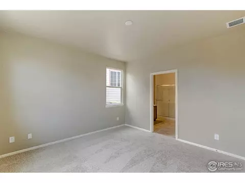 2167 Longfin Dr, Windsor, CO 80550 photo 14