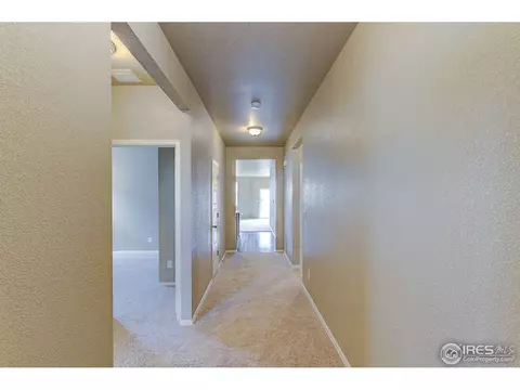 2167 Longfin Dr, Windsor, CO 80550 photo 5
