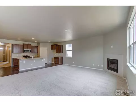 2167 Longfin Dr, Windsor, CO 80550 photo 17