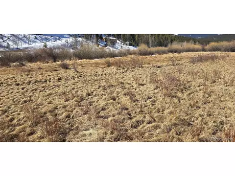 227 Moore St, Bailey, CO 80421 photo 3