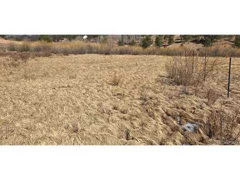 227 Moore St, Bailey, CO 80421 photo 5