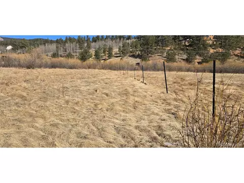 227 Moore St, Bailey, CO 80421 photo 2