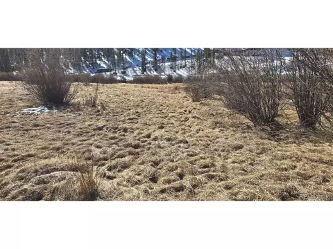 227 Moore St, Bailey, CO 80421 photo 4