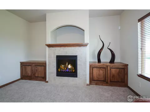 5363 Long Dr, Timnath, CO 80547 photo 5