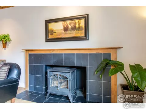 675 Grape Ave, Boulder, CO 80304 photo 12
