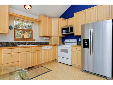 727 N Pine Dr, Bailey, CO 80421 photo 10