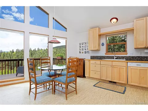 727 N Pine Dr, Bailey, CO 80421 photo 7