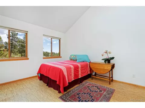 727 N Pine Dr, Bailey, CO 80421 photo 15