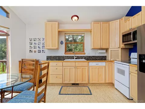 727 N Pine Dr, Bailey, CO 80421 photo 8