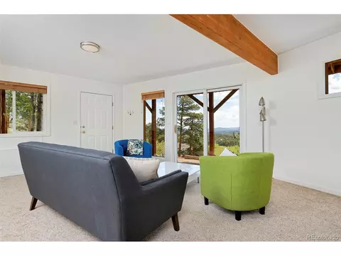 727 N Pine Dr, Bailey, CO 80421 photo 26