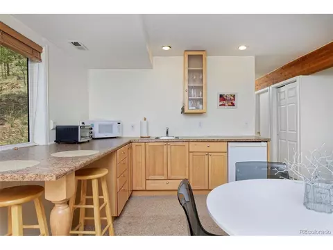 727 N Pine Dr, Bailey, CO 80421 photo 27