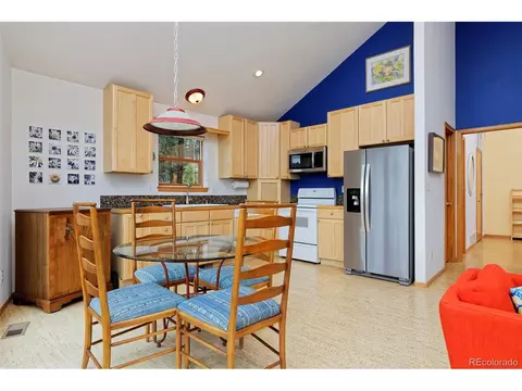 727 N Pine Dr, Bailey, CO 80421 photo 9